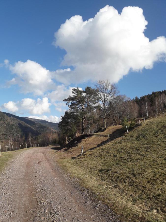 Hebergement Francois Mathieu Saint-Maurice-sur-Moselle Kültér fotó