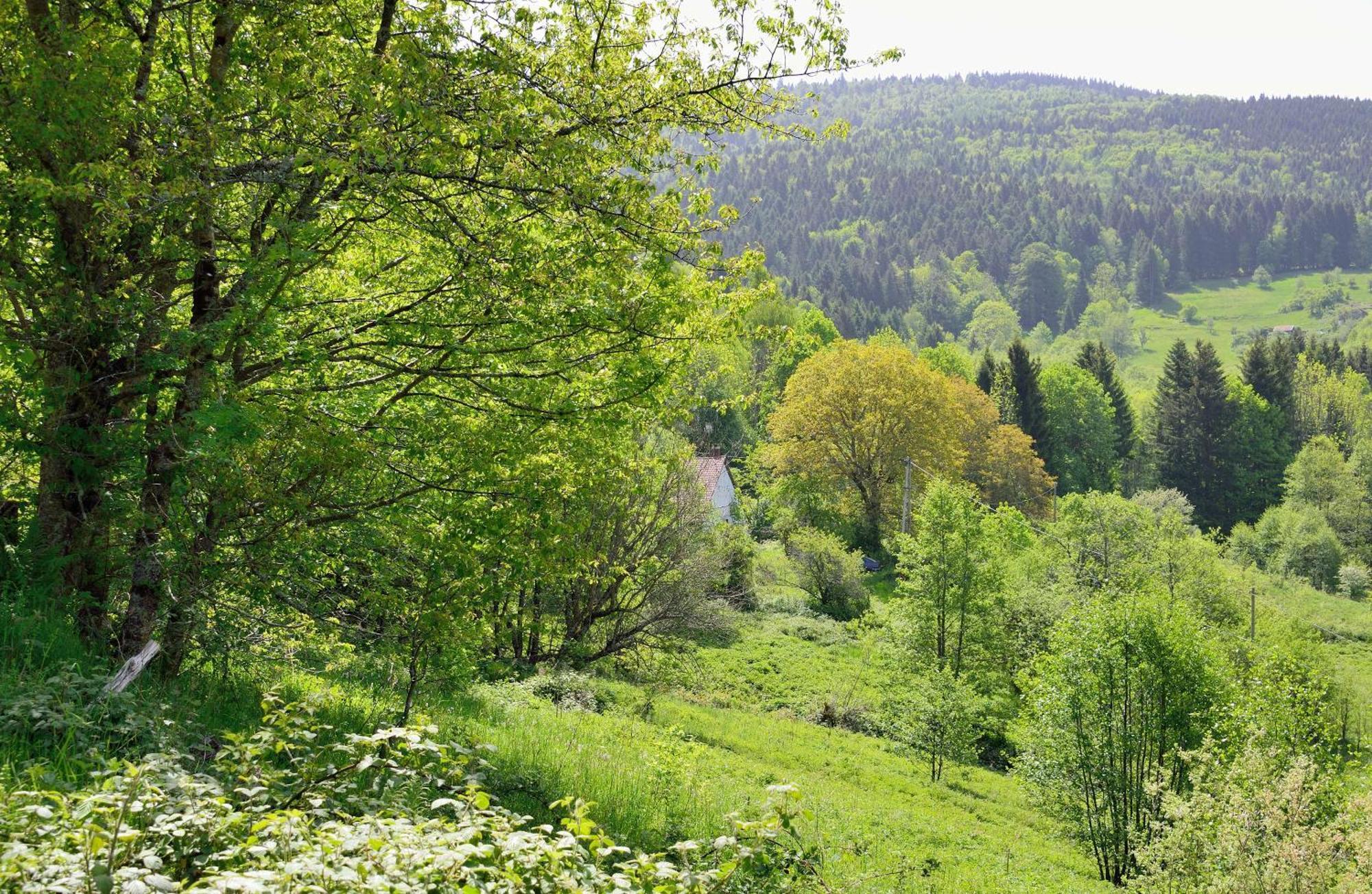 Hebergement Francois Mathieu Saint-Maurice-sur-Moselle Kültér fotó